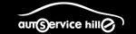autoservice hille